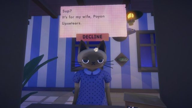 Explore the Whimsica